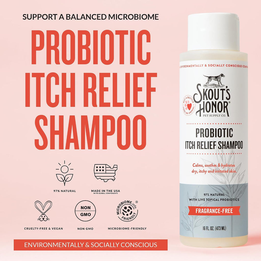 SKOUT'S HONOR Probiotic Itch Relief Shampoo for Dogs, 16 oz | Non-Medicated Microbiome-Friendly Formula with Avocado Oil and Omega-3s, Paraben & Sulfate-Free, Unscented