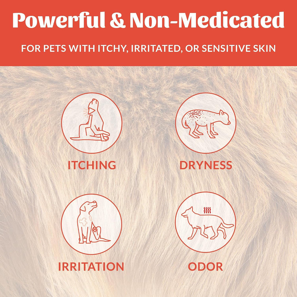 SKOUT'S HONOR Probiotic Itch Relief Shampoo for Dogs, 16 oz | Non-Medicated Microbiome-Friendly Formula with Avocado Oil and Omega-3s, Paraben & Sulfate-Free, Unscented
