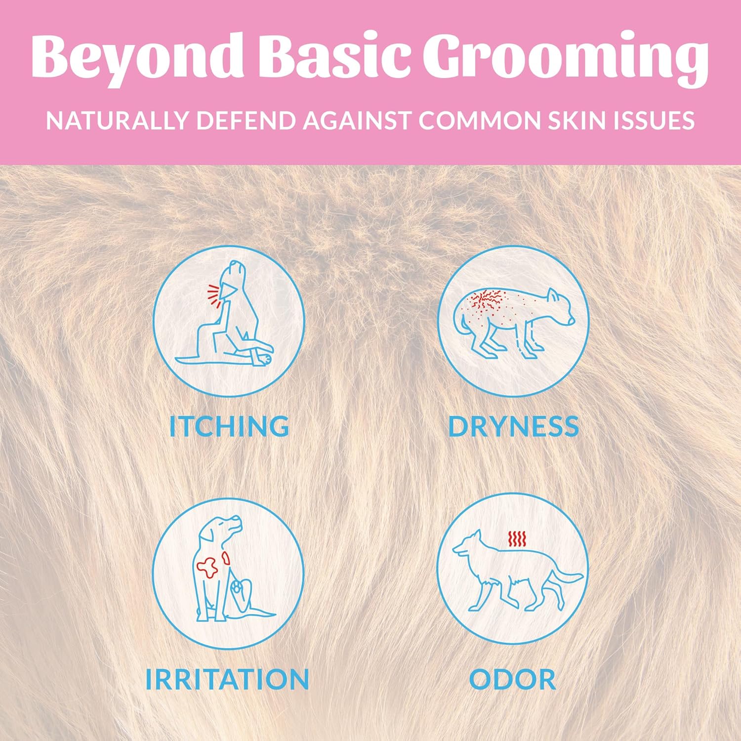 SKOUT'S HONOR Probiotic Puppy Deodorizing Spray - Happy Puppy, 8 oz | Hydrating Daily-Use Formula for Puppies and Dogs, Microbiome-Friendly with Avocado Oil and Omega-3s, 97% Natural